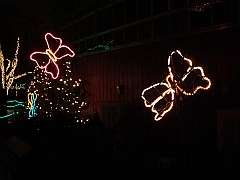 091 Toledo Zoo Light Show [2008 Dec 27]